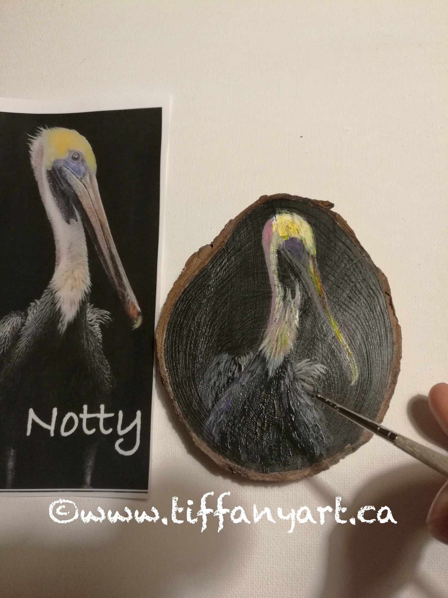 Custom pet ornament, Hand Painted Pet Ornament, bird Ornament, Pet Ornaments, Pet memorial, Custom bird portrait, pelican ornament, pelican