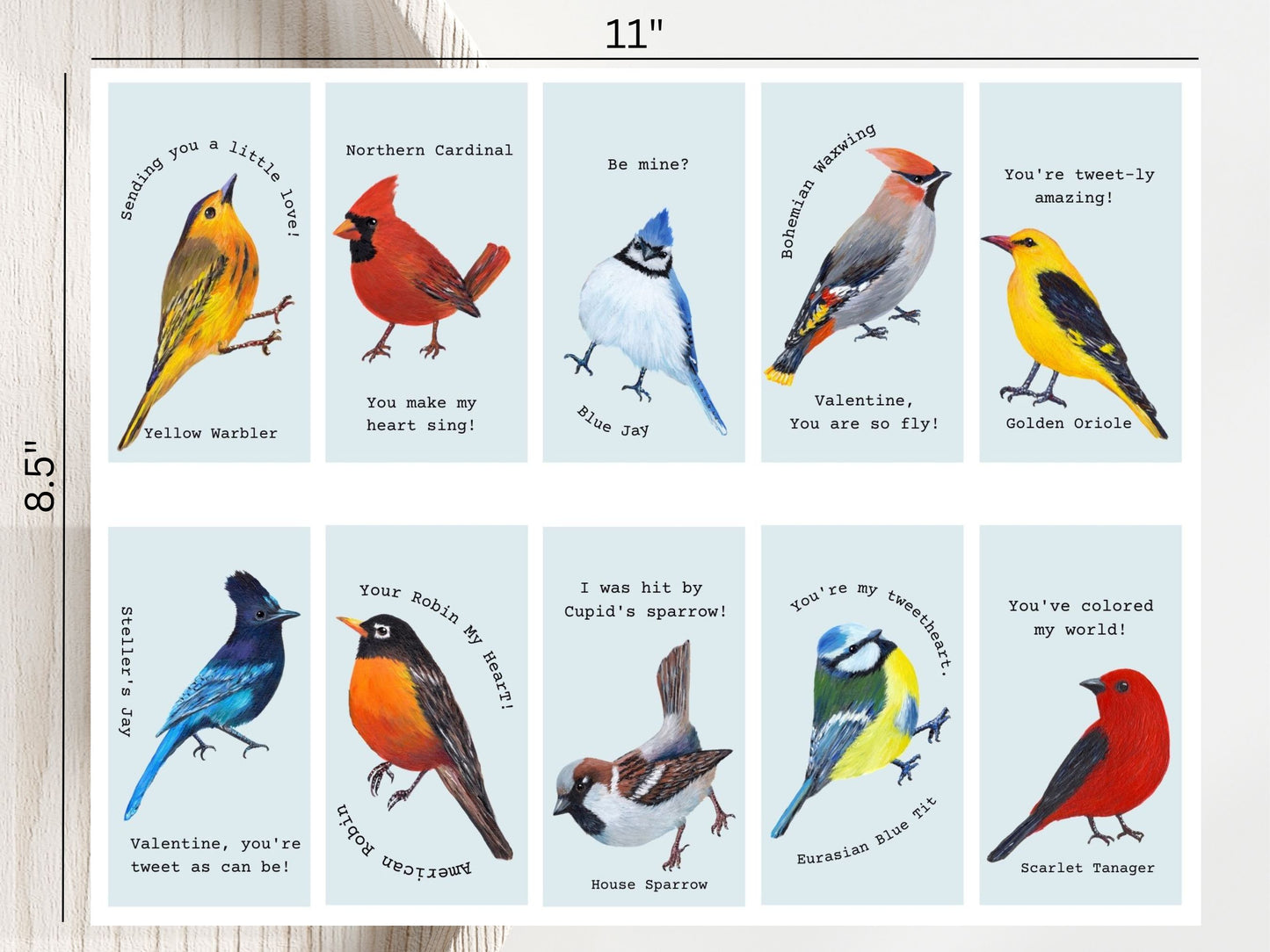 20 Mini Bird Valentines Cards