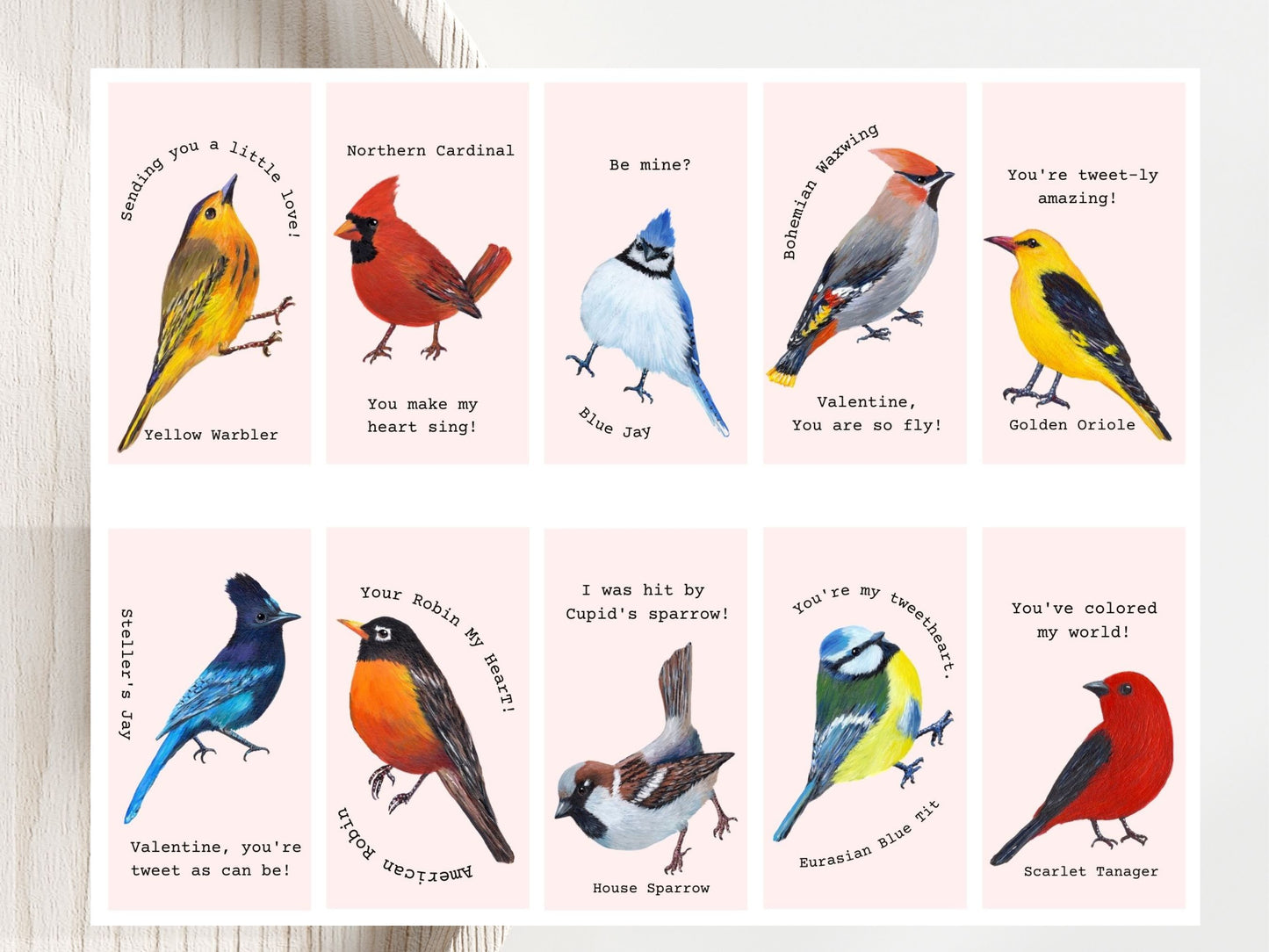 20 Mini Bird Valentines Cards