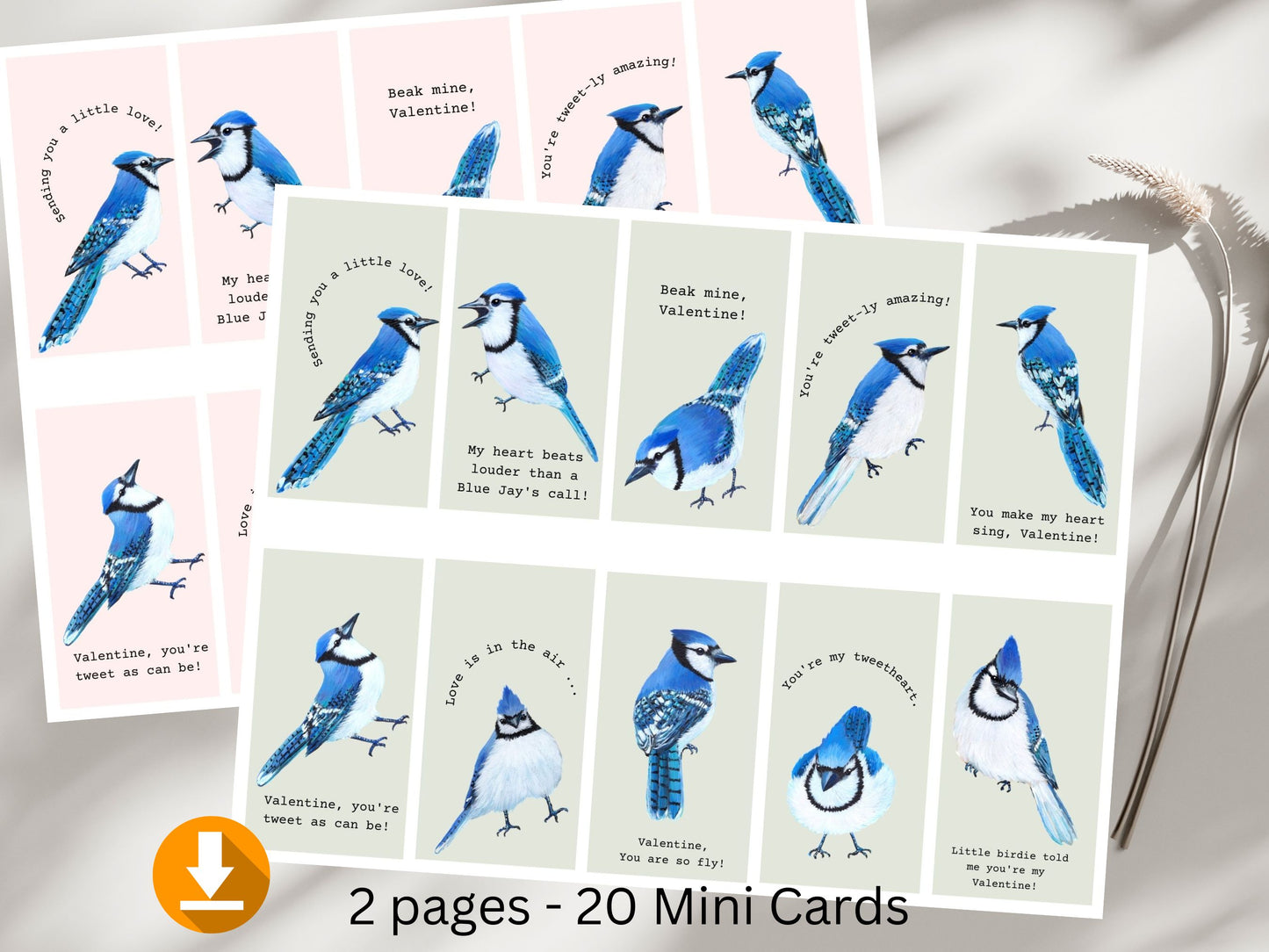 20 Min Blue Jay Valentines Cards