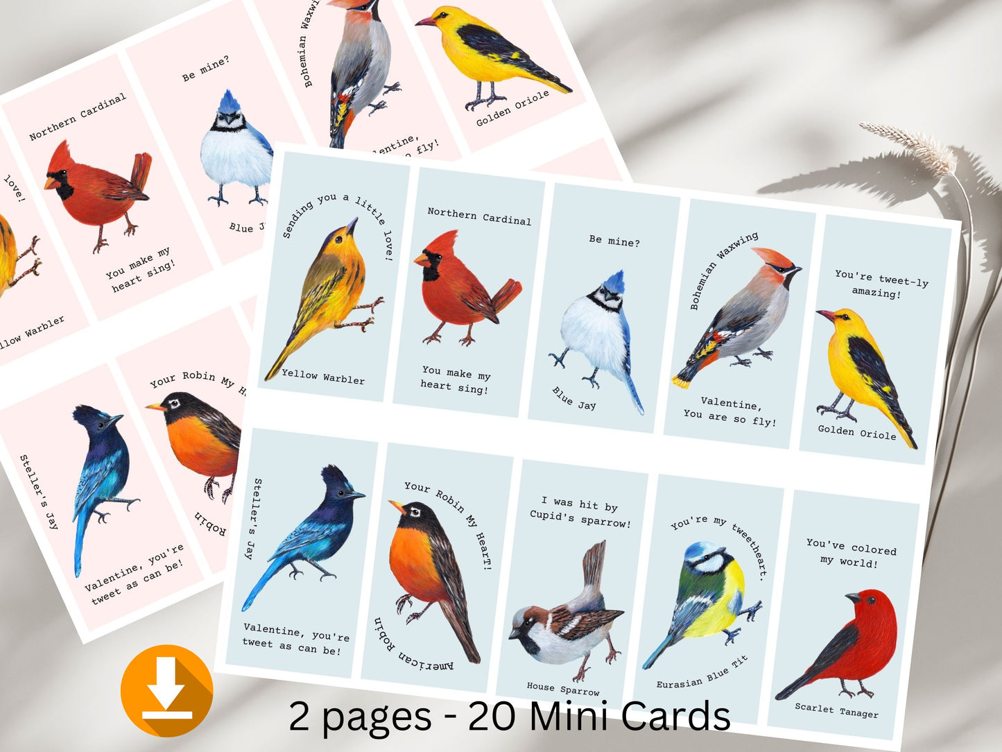 20 Mini Bird Valentines Cards