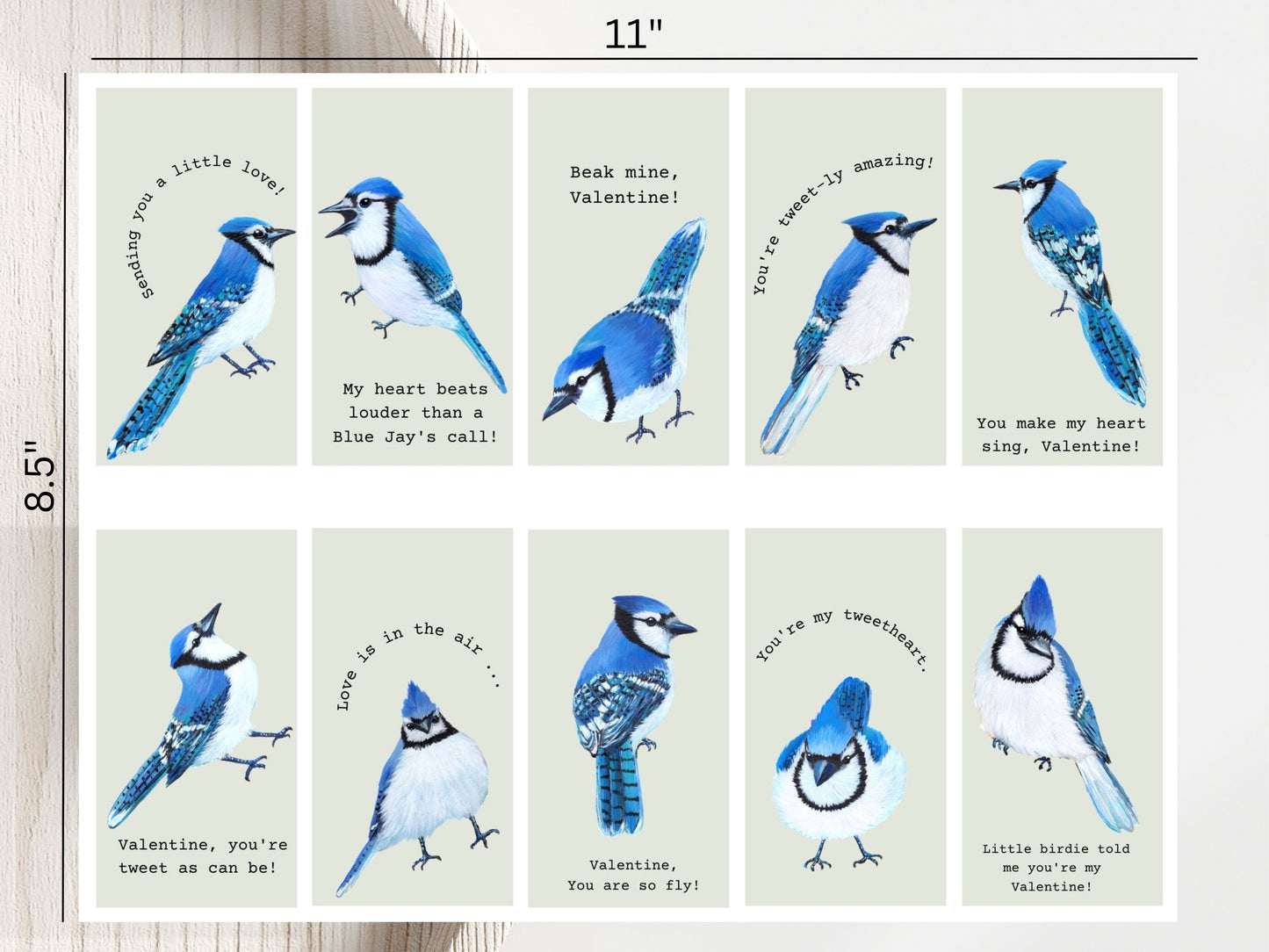 20 Min Blue Jay Valentines Cards