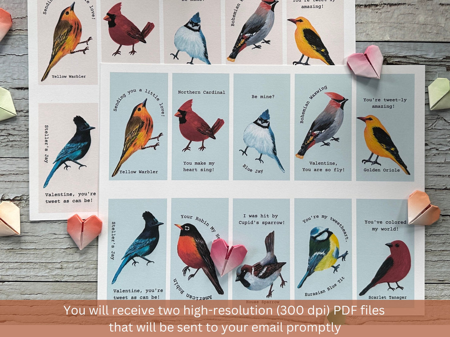 20 Mini Bird Valentines Cards