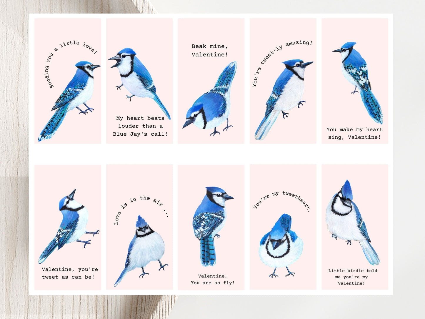 20 Min Blue Jay Valentines Cards