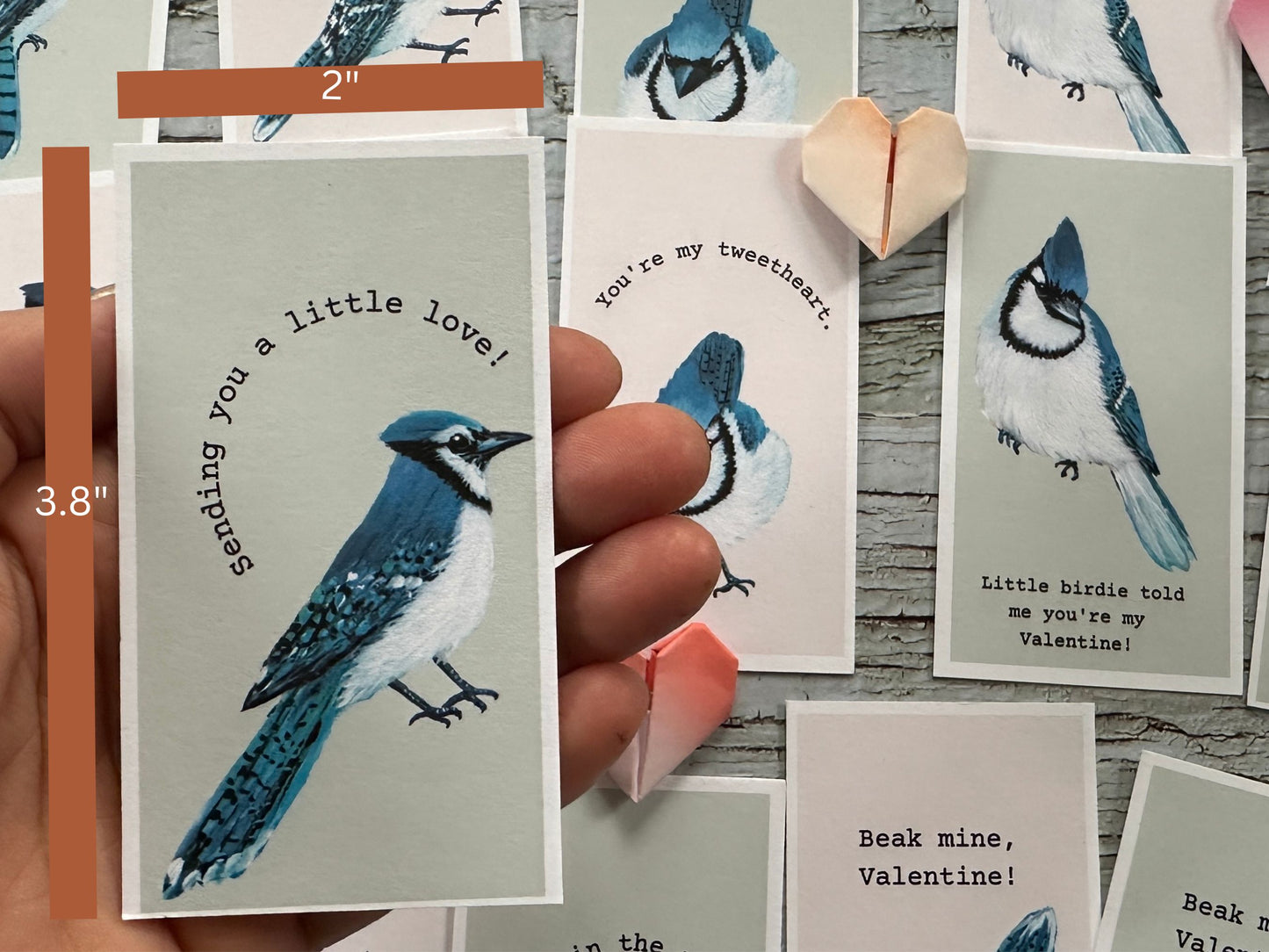 20 Min Blue Jay Valentines Cards