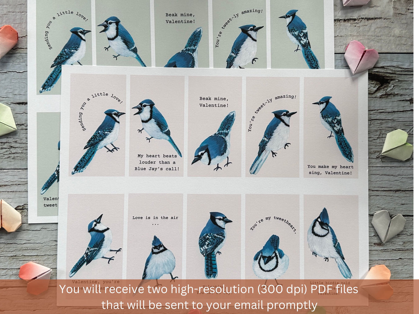 20 Min Blue Jay Valentines Cards