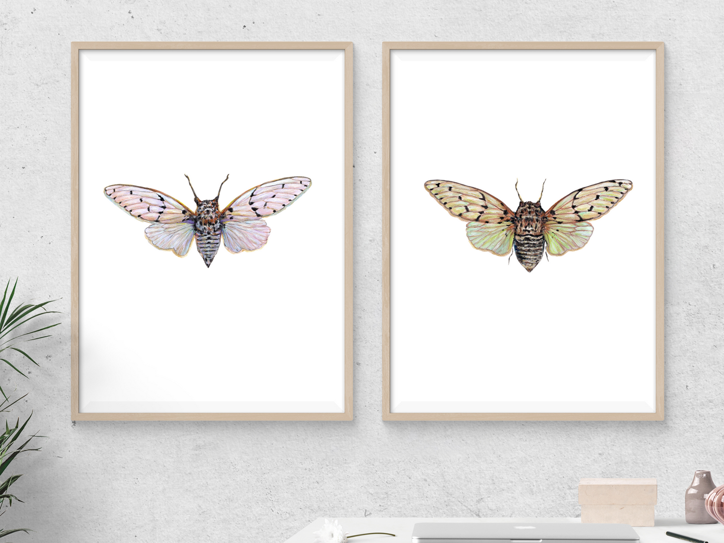 Ghost Cicada Set of 2 Art Print