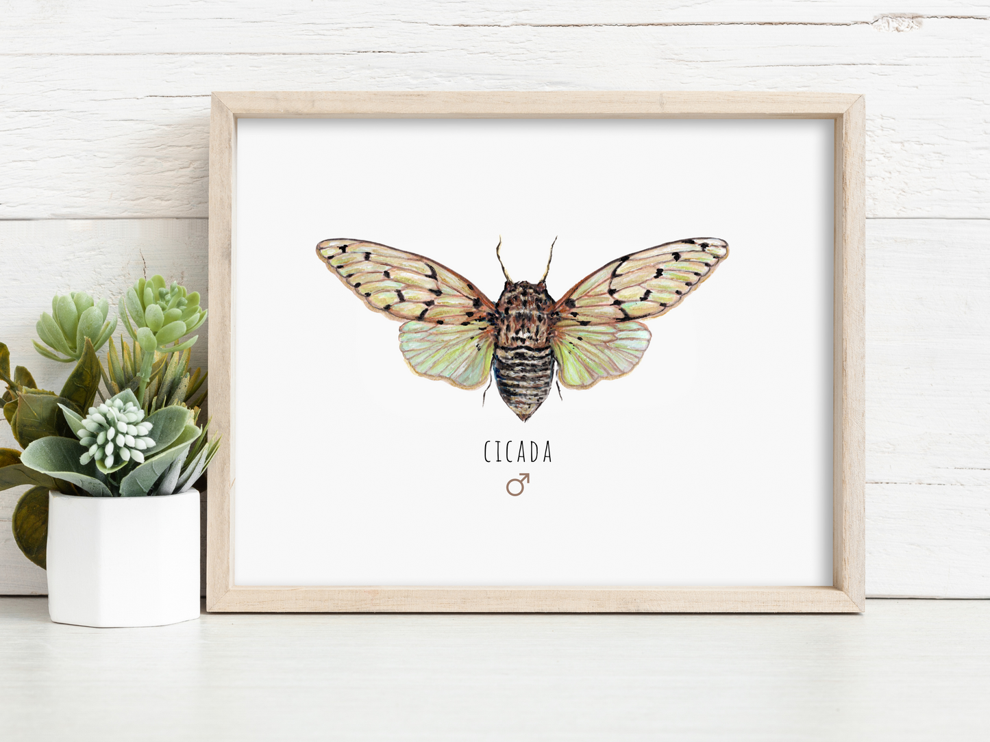 Ghost Cicada Set of 2 Art Print