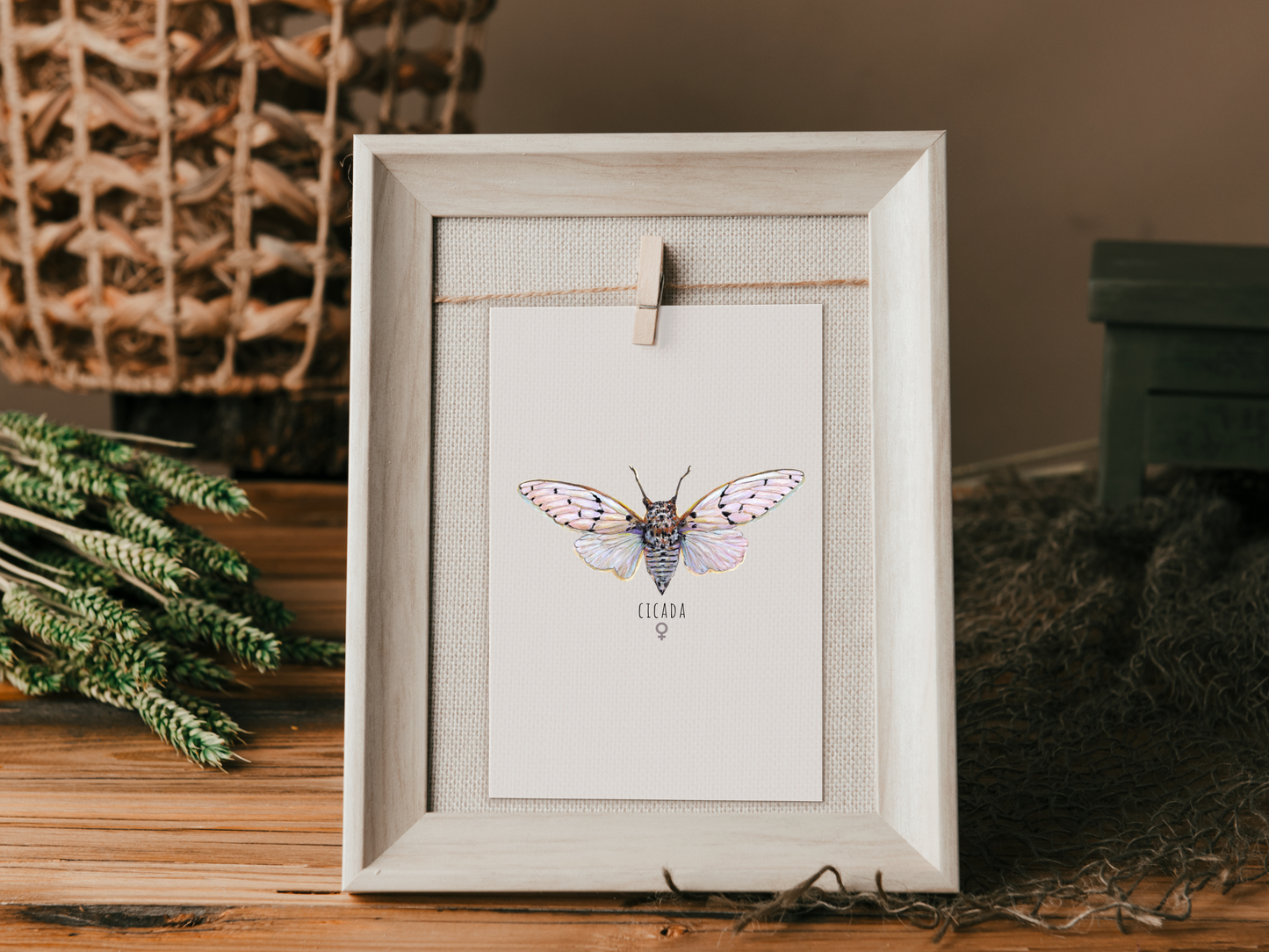 Ghost Cicada Set of 2 Art Print