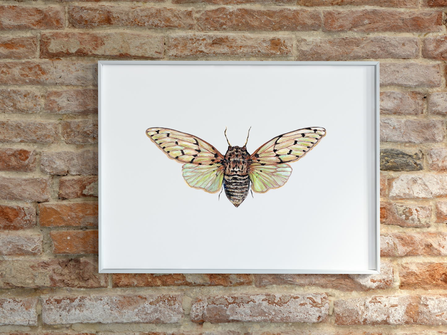 Ghost Cicada Set of 2 Art Print