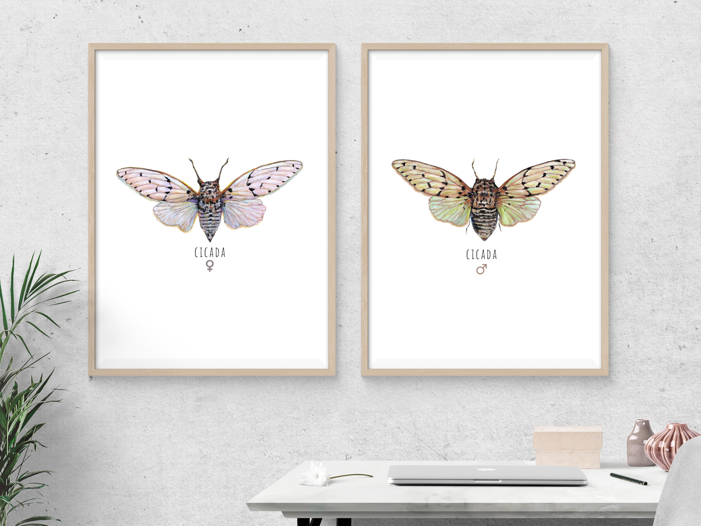 Ghost Cicada Set of 2 Art Print