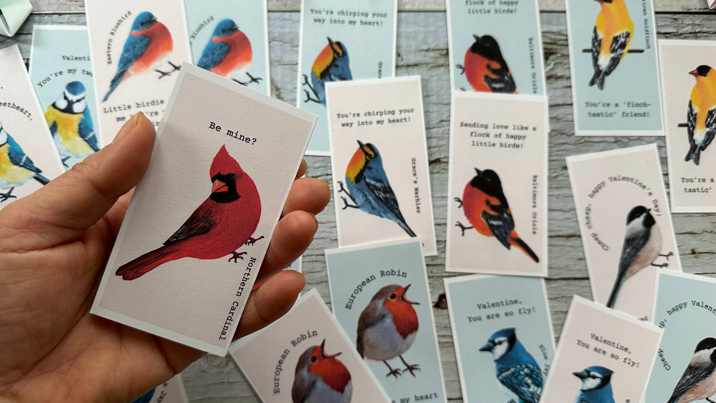 Set of 20 Mini Bird Valentines Cards for School Kids (Digital Download)