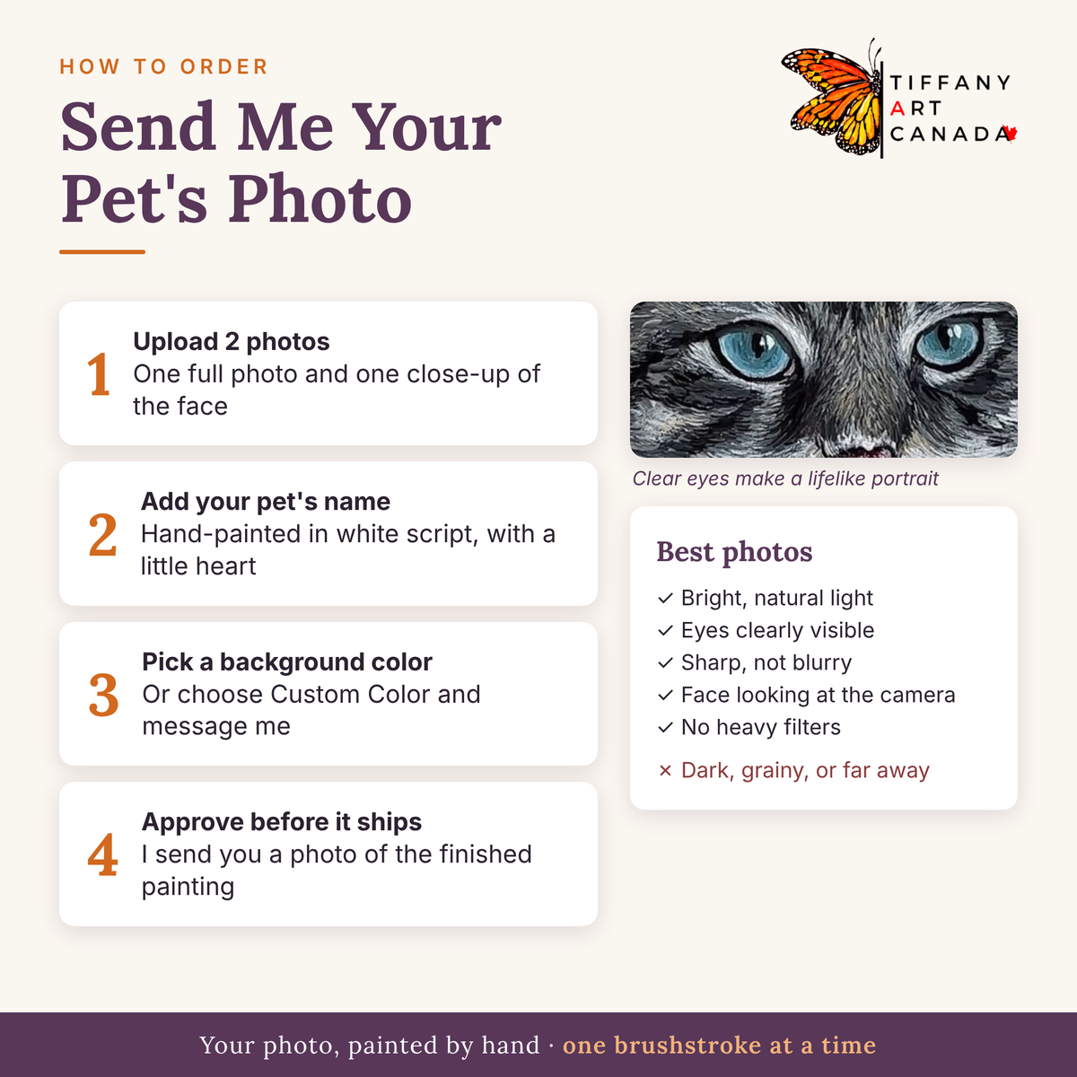 How to order a custom cat portrait: send your cat's photo, name and background color