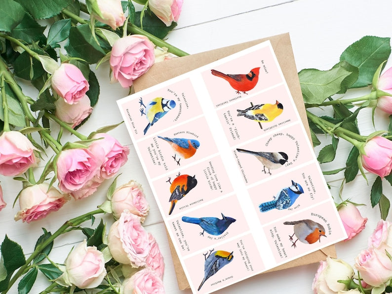 Set of 20 Mini Bird Valentines Cards for School Kids (Digital Download)