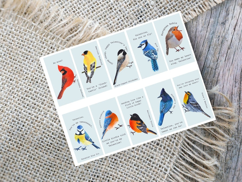 Set of 20 Mini Bird Valentines Cards for School Kids (Digital Download)