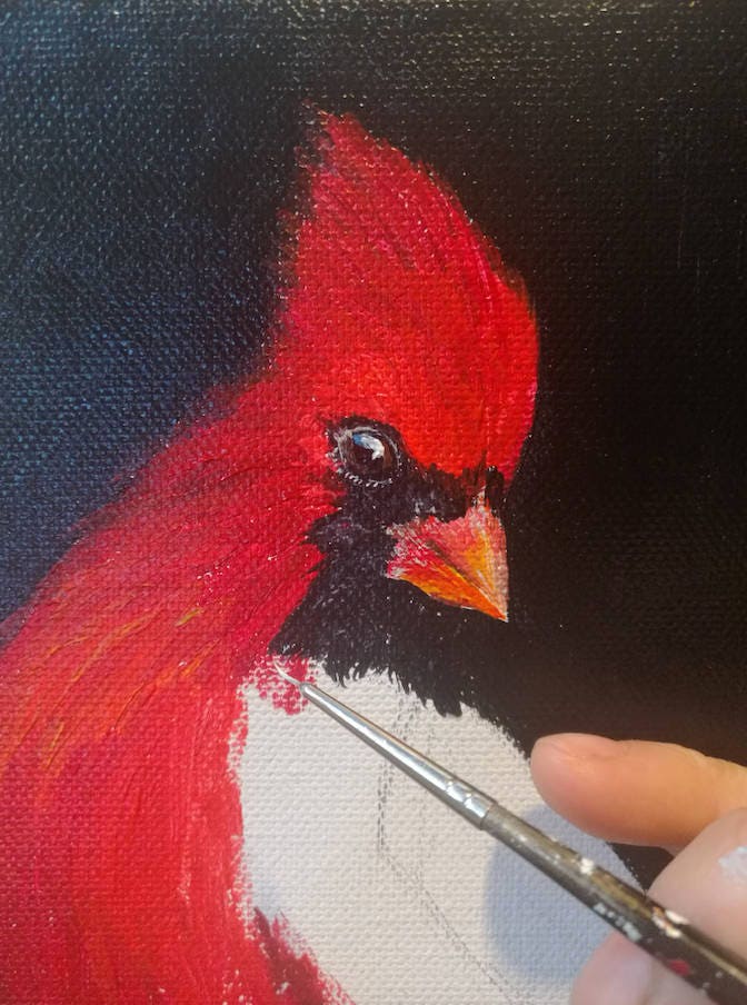 Set of 2 Cardinal Painting 6" x 6", Cardinal Bird Artwork, Red Cardinal Bird, Bird Lover Gift, Cardinal Memorial gift, Cardinal Sympathy