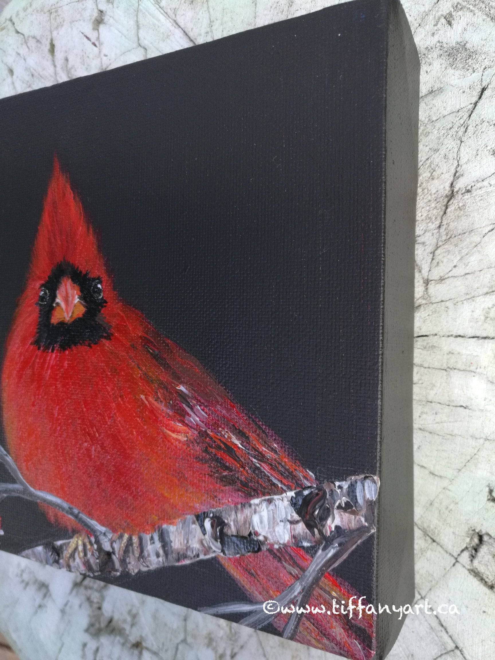 Original Cardinal Acrylic Painting, Christmas Red Bird Art, 6x6