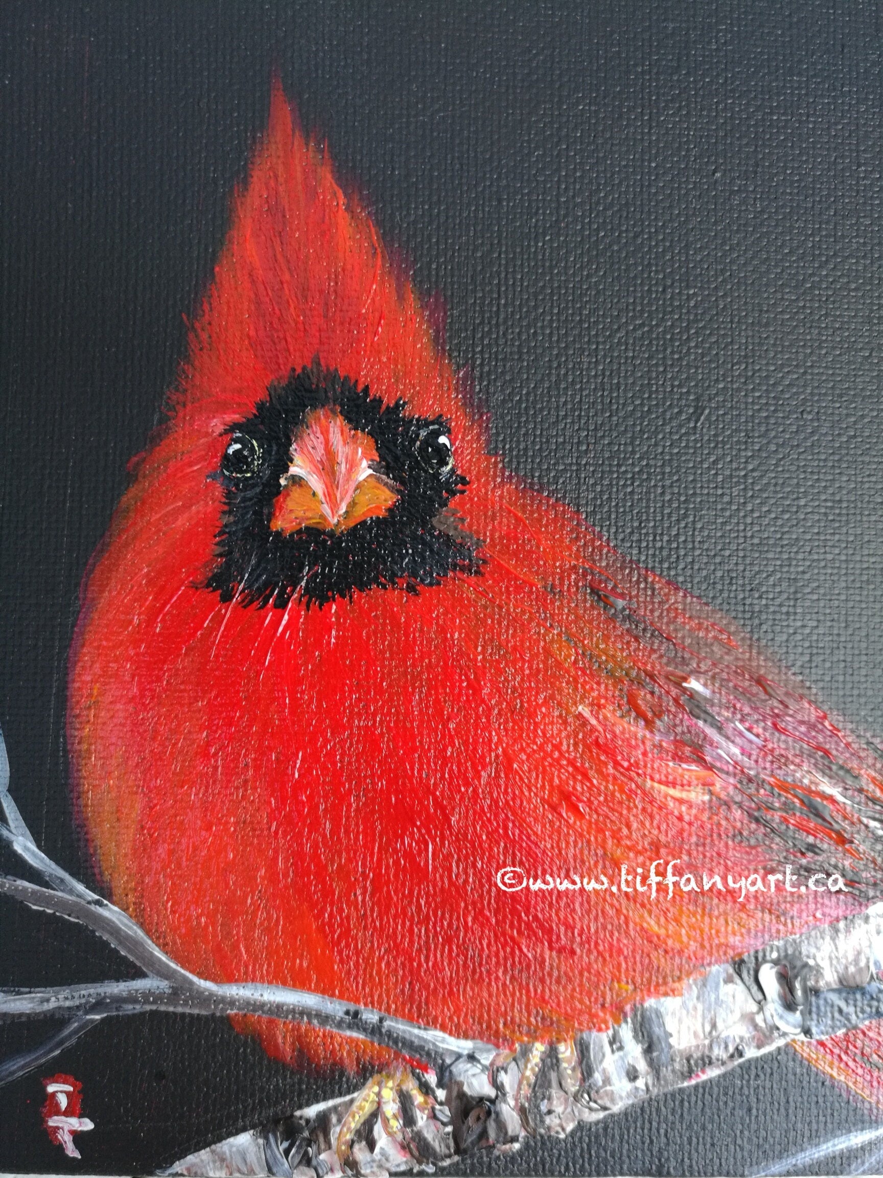 Original Cardinal Acrylic Painting, Christmas Red Bird Art, 6x6