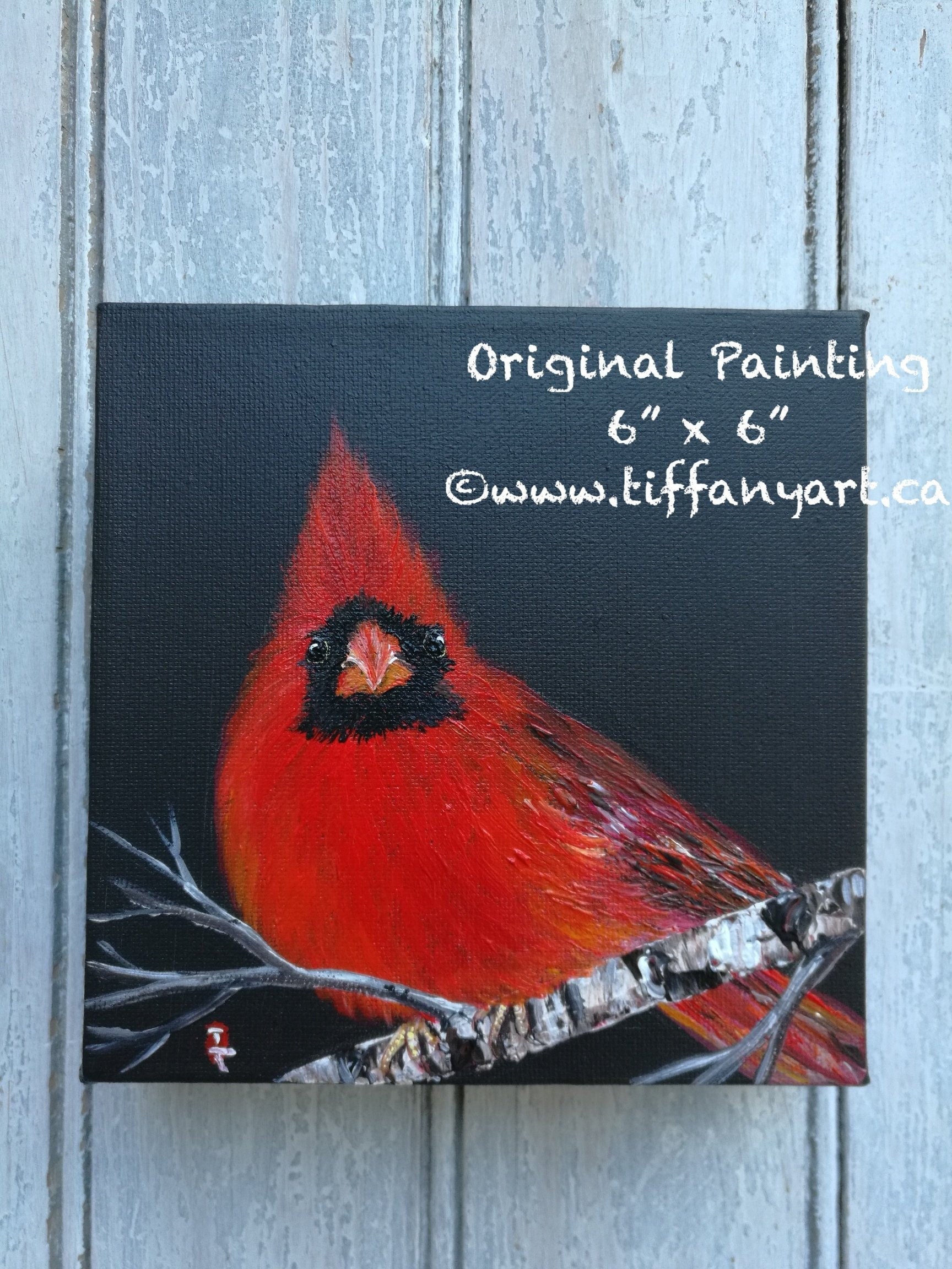 Original Cardinal Acrylic Painting, Christmas Red Bird Art, 6x6