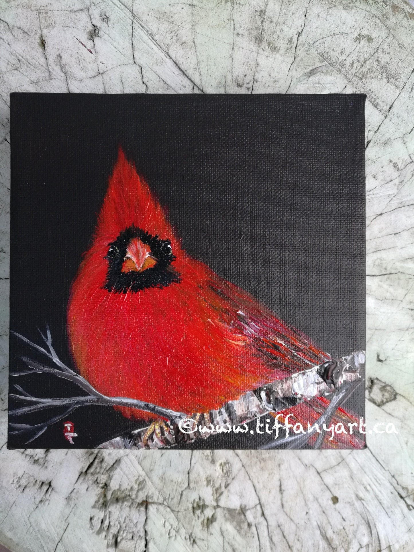 Original Cardinal Acrylic Painting, Christmas Red Bird Art, 6x6