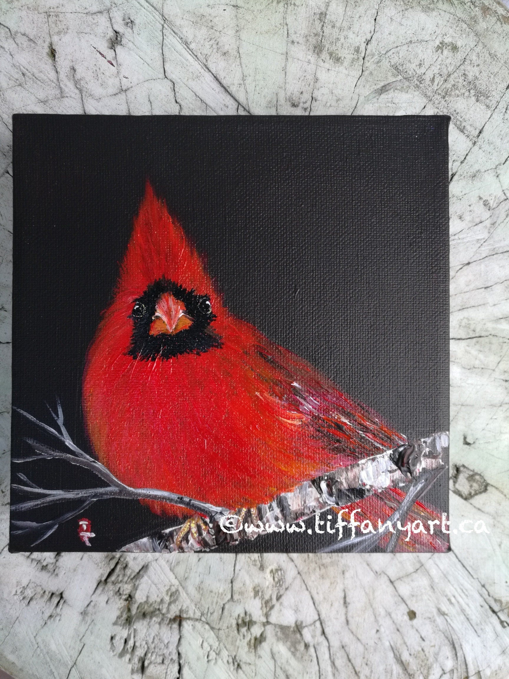 Original Cardinal Acrylic Painting, Christmas Red Bird Art, 6x6