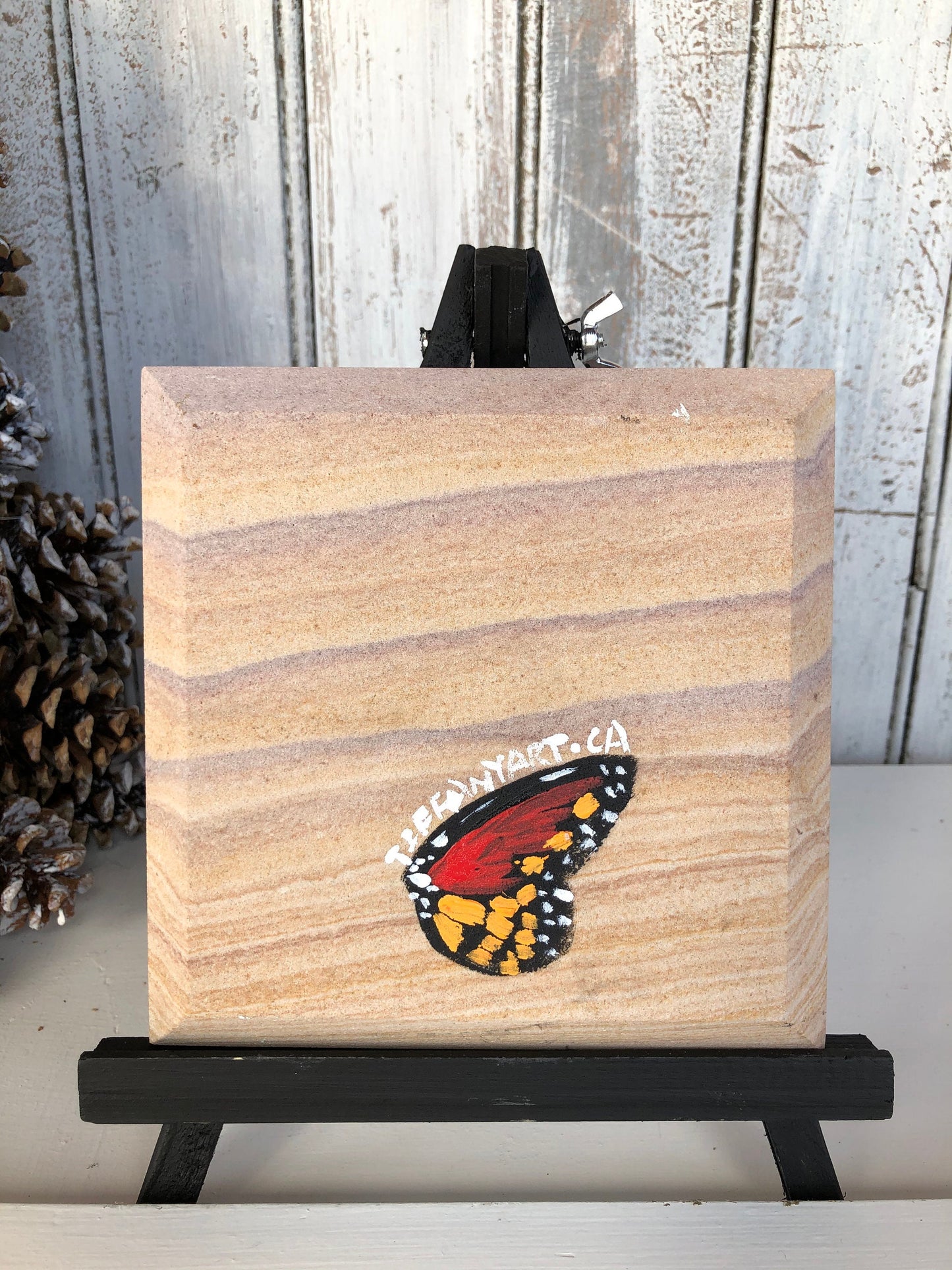 American Robin Stone