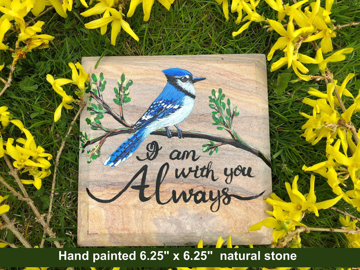 Blue Jay Memorial Stone 6.25x6.25"