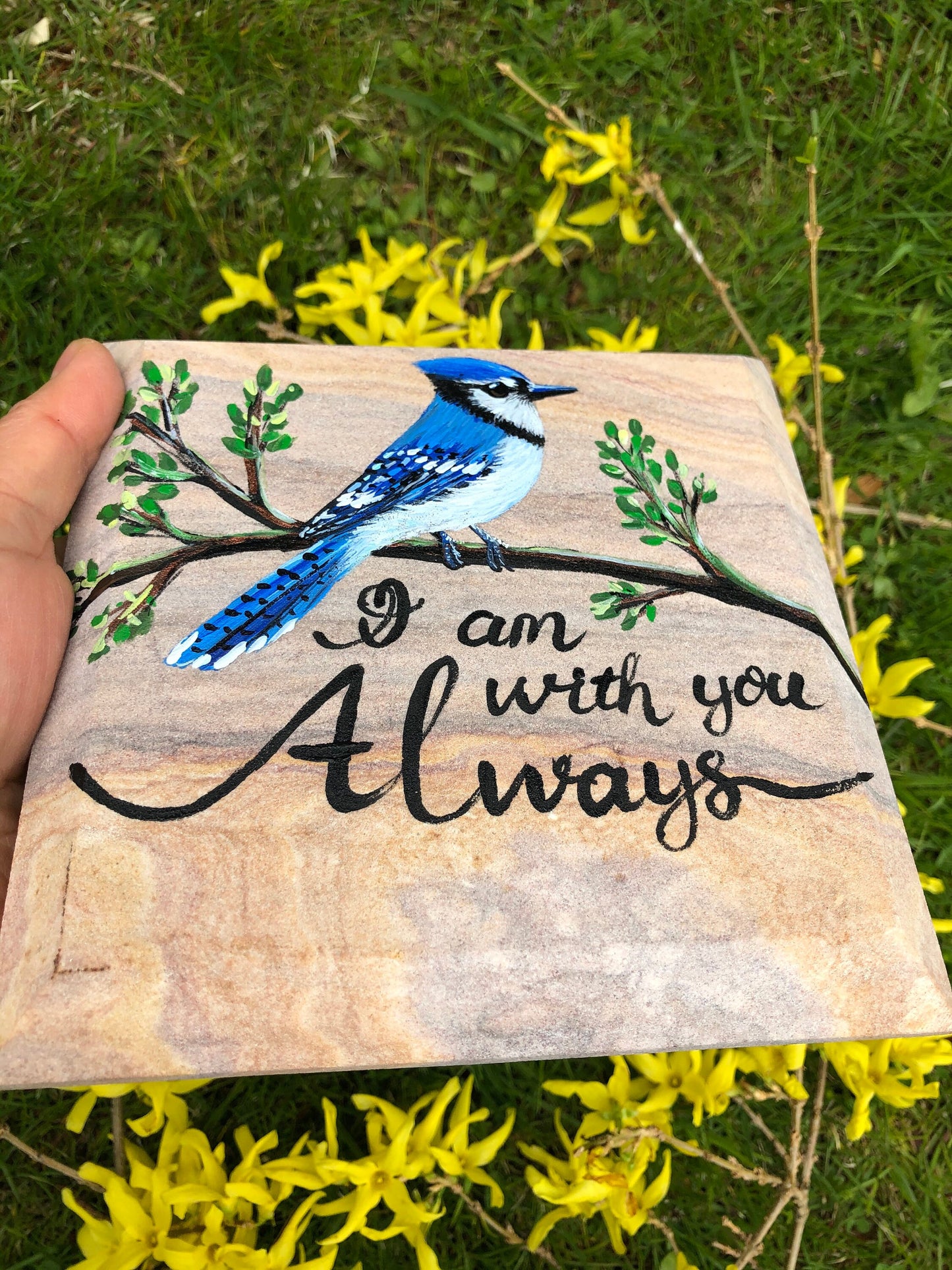 Blue Jay Memorial Stone 6.25x6.25"