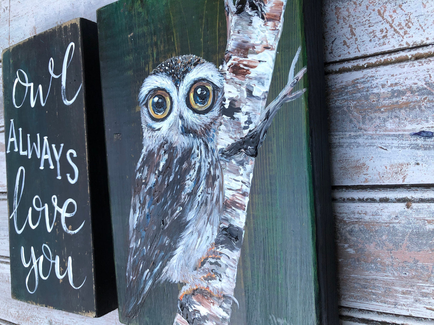 Handmade Owl Acrylic Painting on Wood Sign, Set of 2