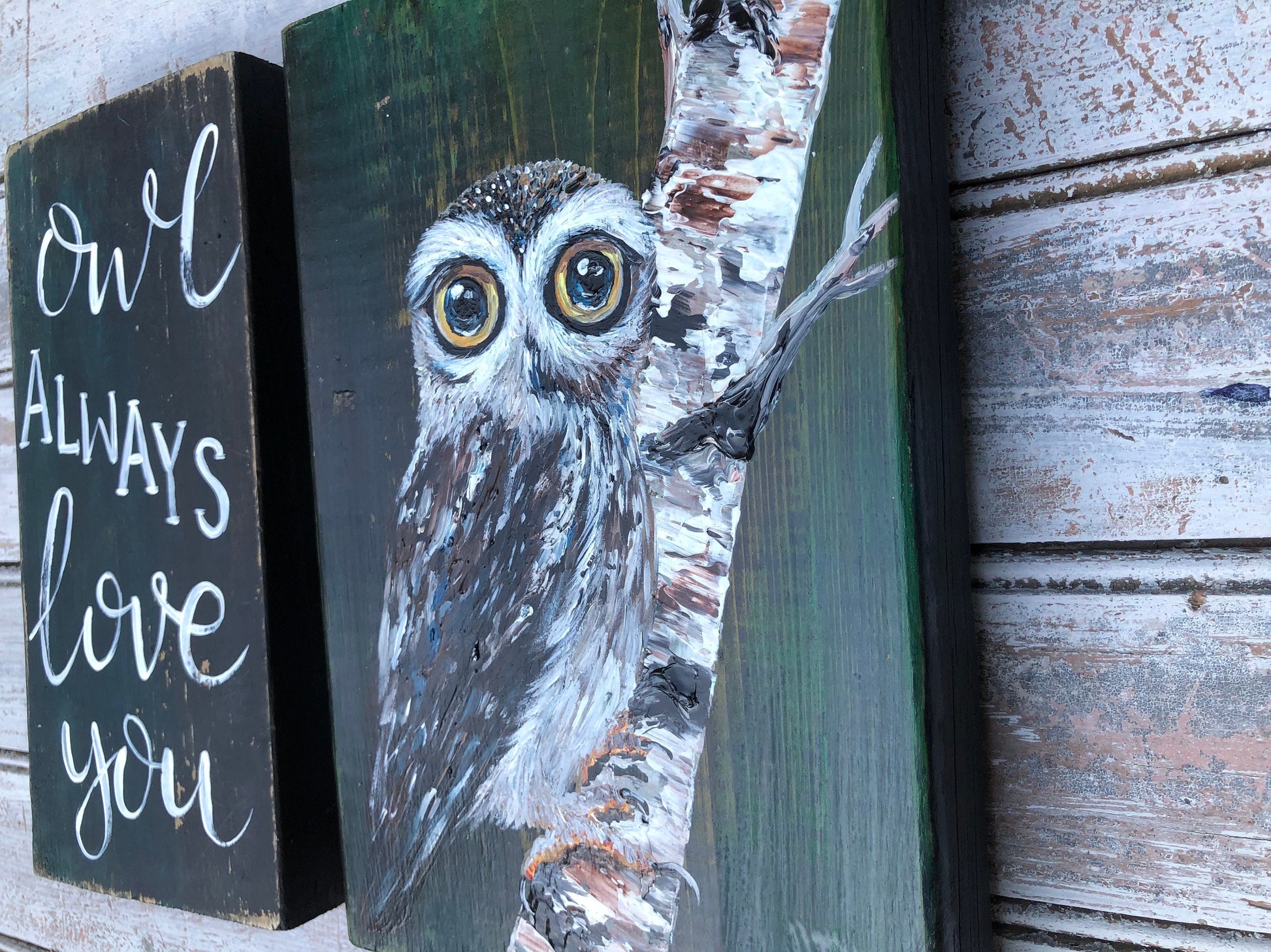 Handmade Owl Acrylic Painting on Wood Sign, Set of 2