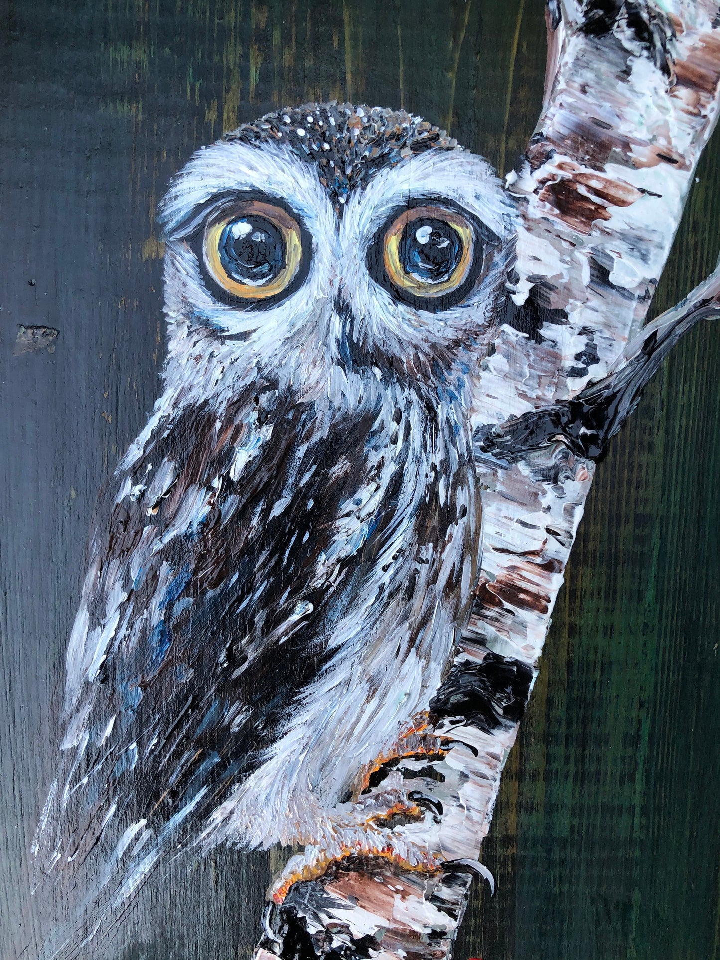 Handmade Owl Acrylic Painting on Wood Sign, Set of 2