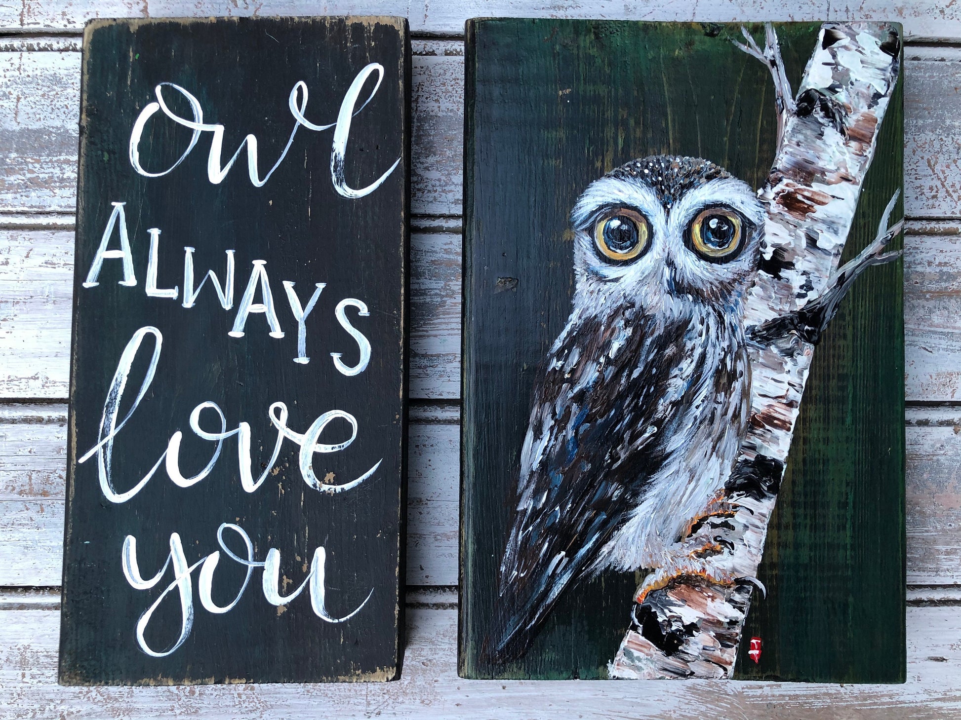 Handmade Owl Acrylic Painting on Wood Sign, Set of 2