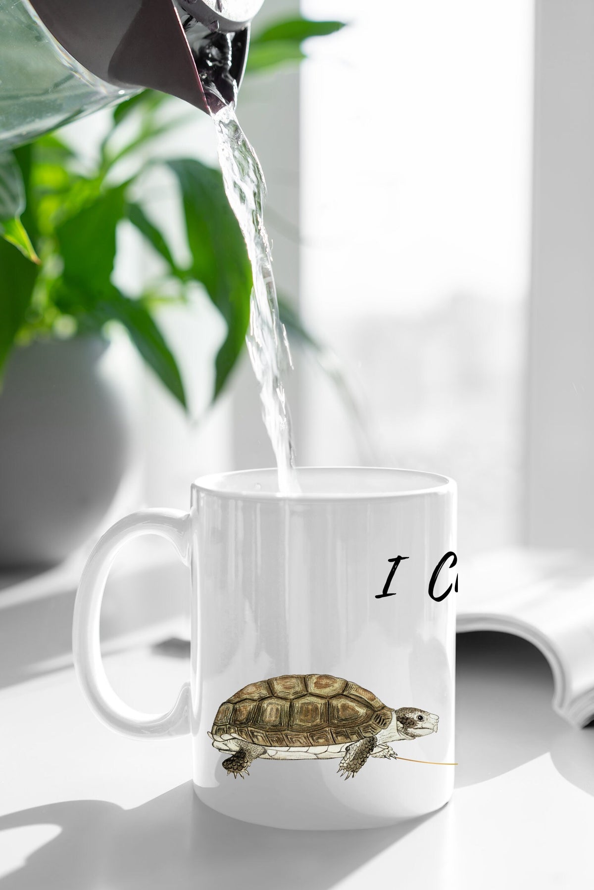 Turtle Couple Mug