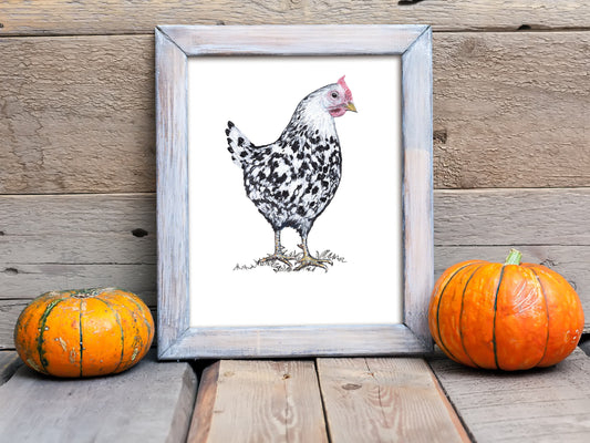 Chicken Art Print