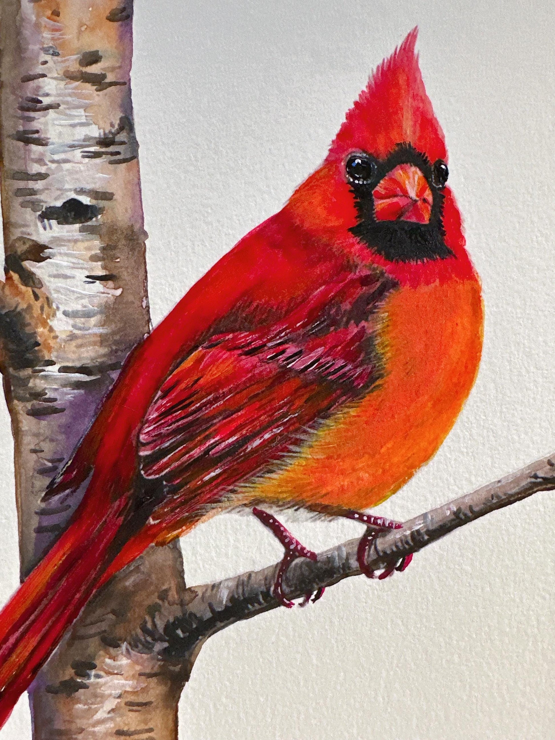 Framed Christmas Cardinal Watercolor Painting, Original Bird Art