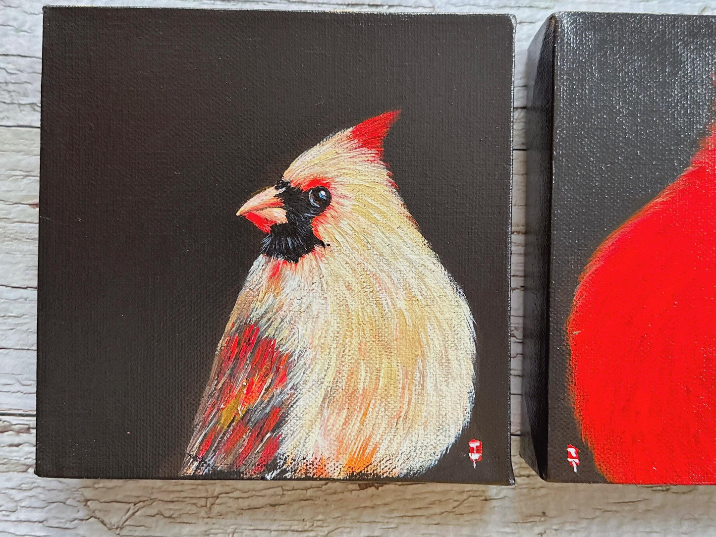 Set of 2 Cardinal Painting 6" x 6", Cardinal Bird Artwork, Red Cardinal Bird, Bird Lover Gift, Cardinal Memorial gift, Cardinal Sympathy