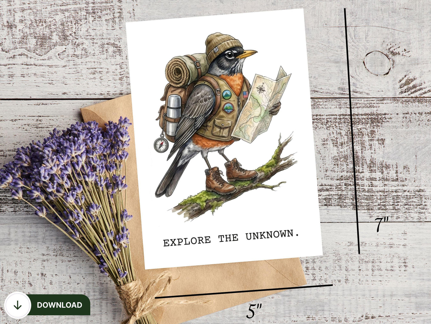 Printable American Robin Card, Hiking Bird, Backpacking Robin Art, Travel Greeting, Outdoor Lover Gift, Camping, Bird Nerd, Digital Download
