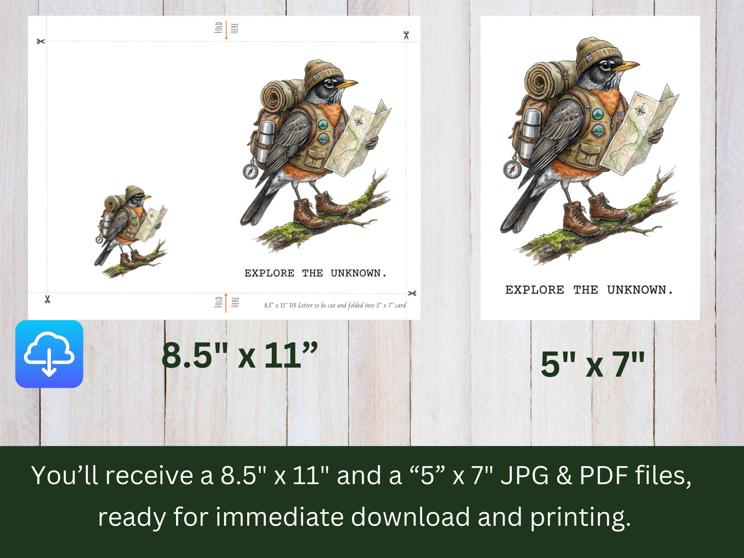 Printable American Robin Card, Hiking Bird, Backpacking Robin Art, Travel Greeting, Outdoor Lover Gift, Camping, Bird Nerd, Digital Download