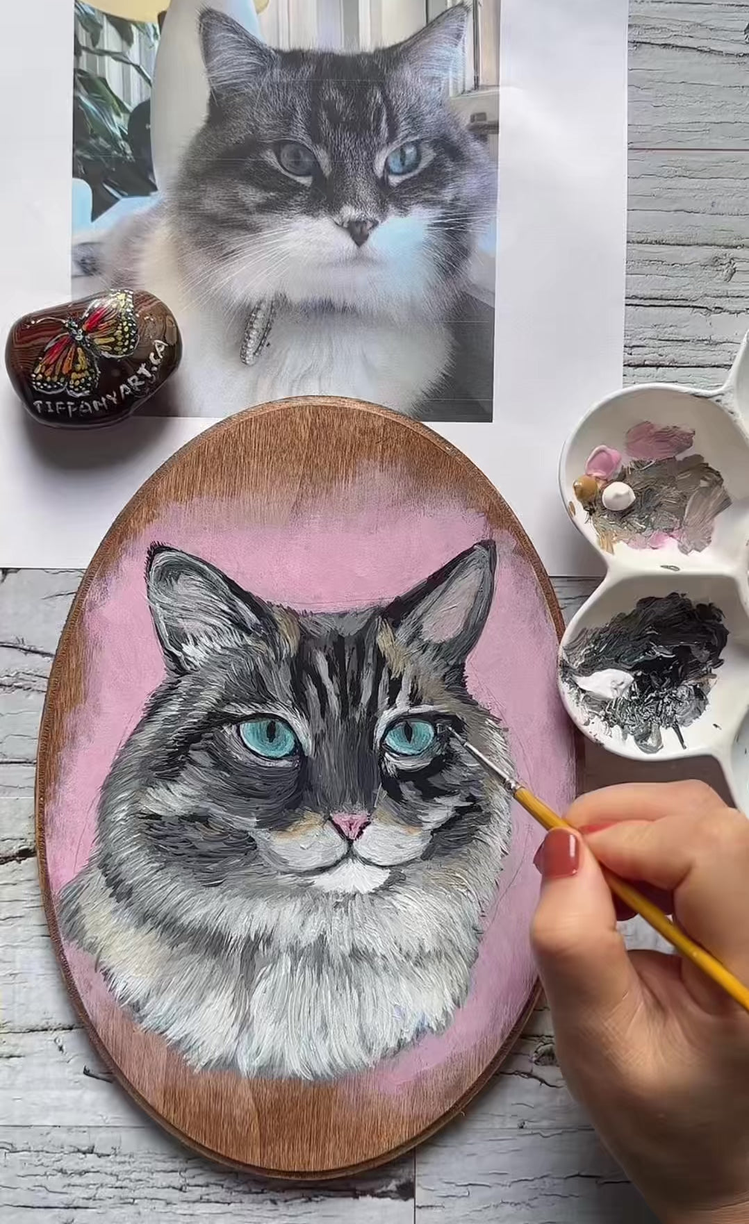 Video of the hand-painted custom cat portrait wood plaque