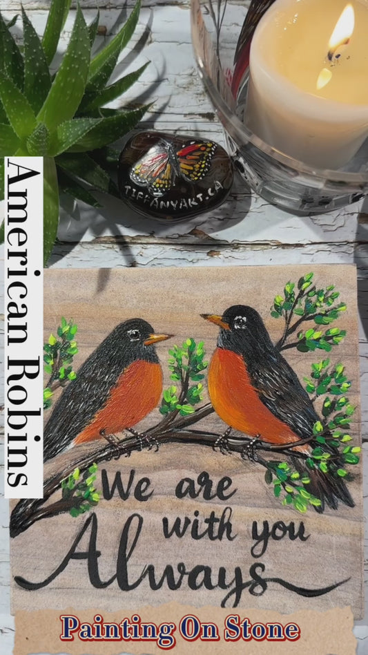 American Robin Stone