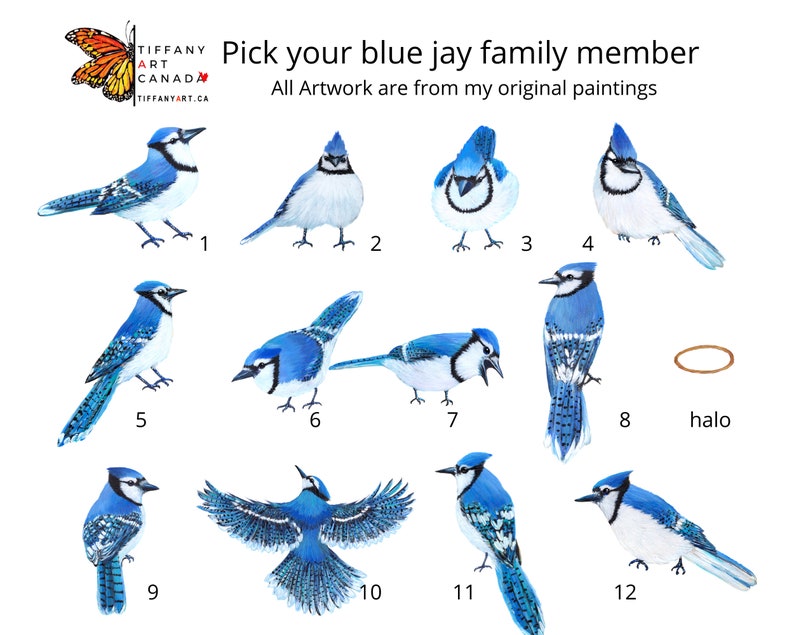 Blue Jay Family Portrait Print