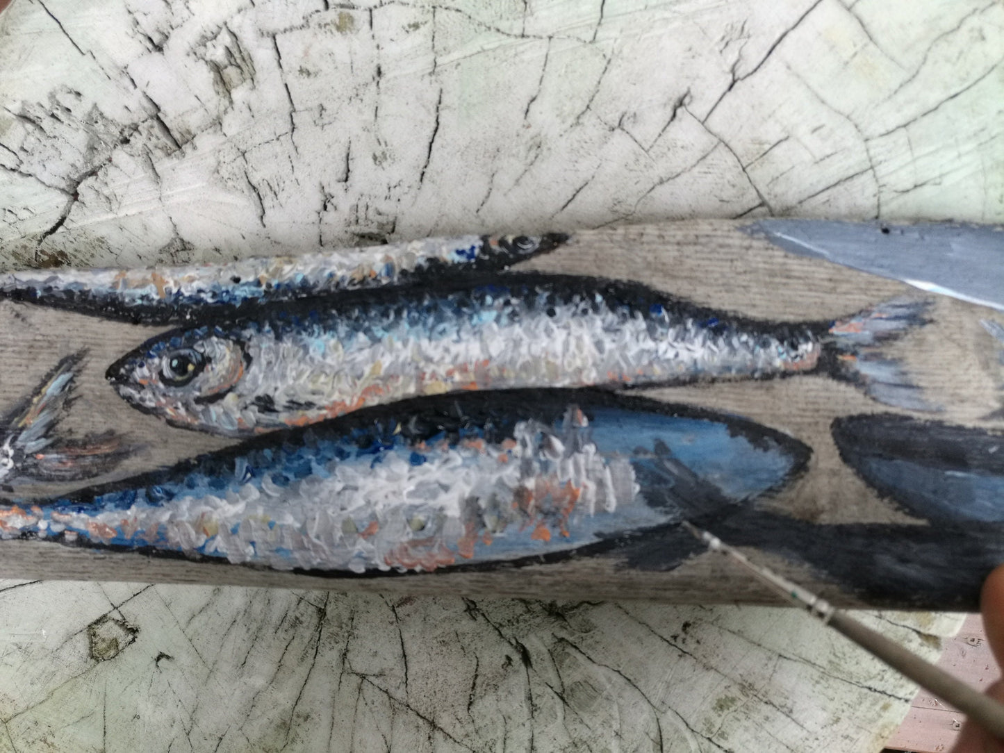 Sardine painting on Driftwood