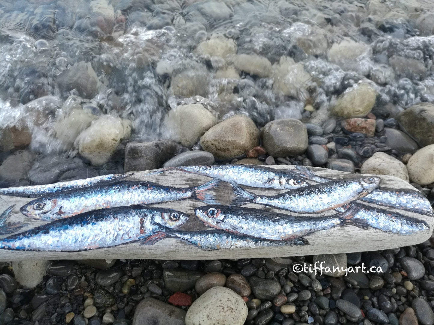 Sardine painting on Driftwood