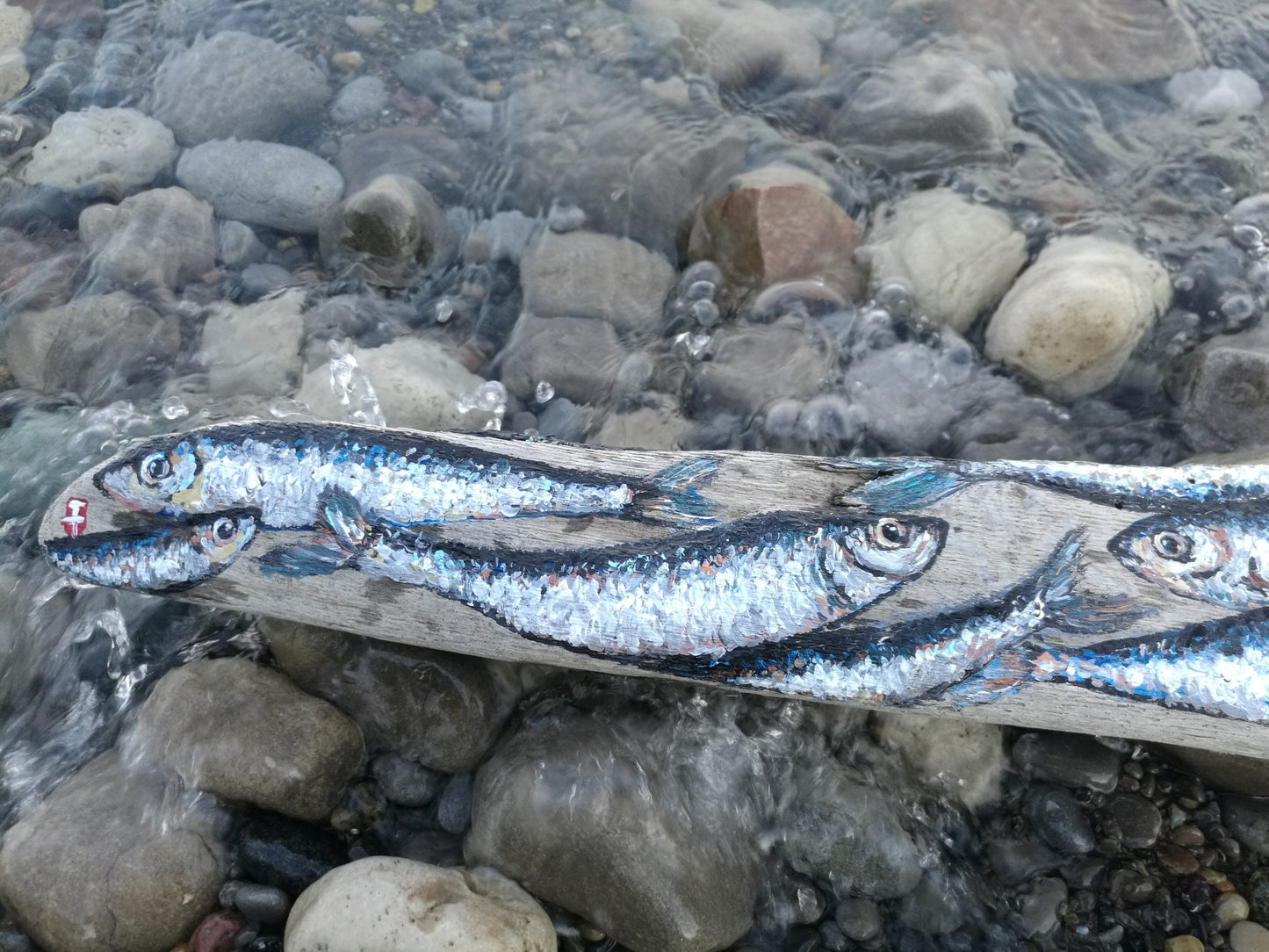 Sardine painting on Driftwood