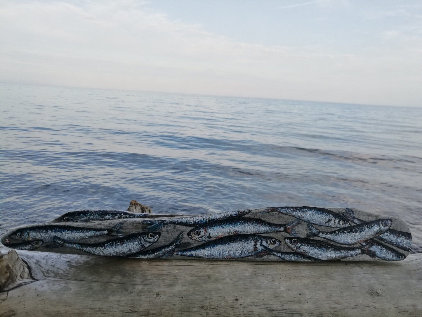 Sardine painting on Driftwood