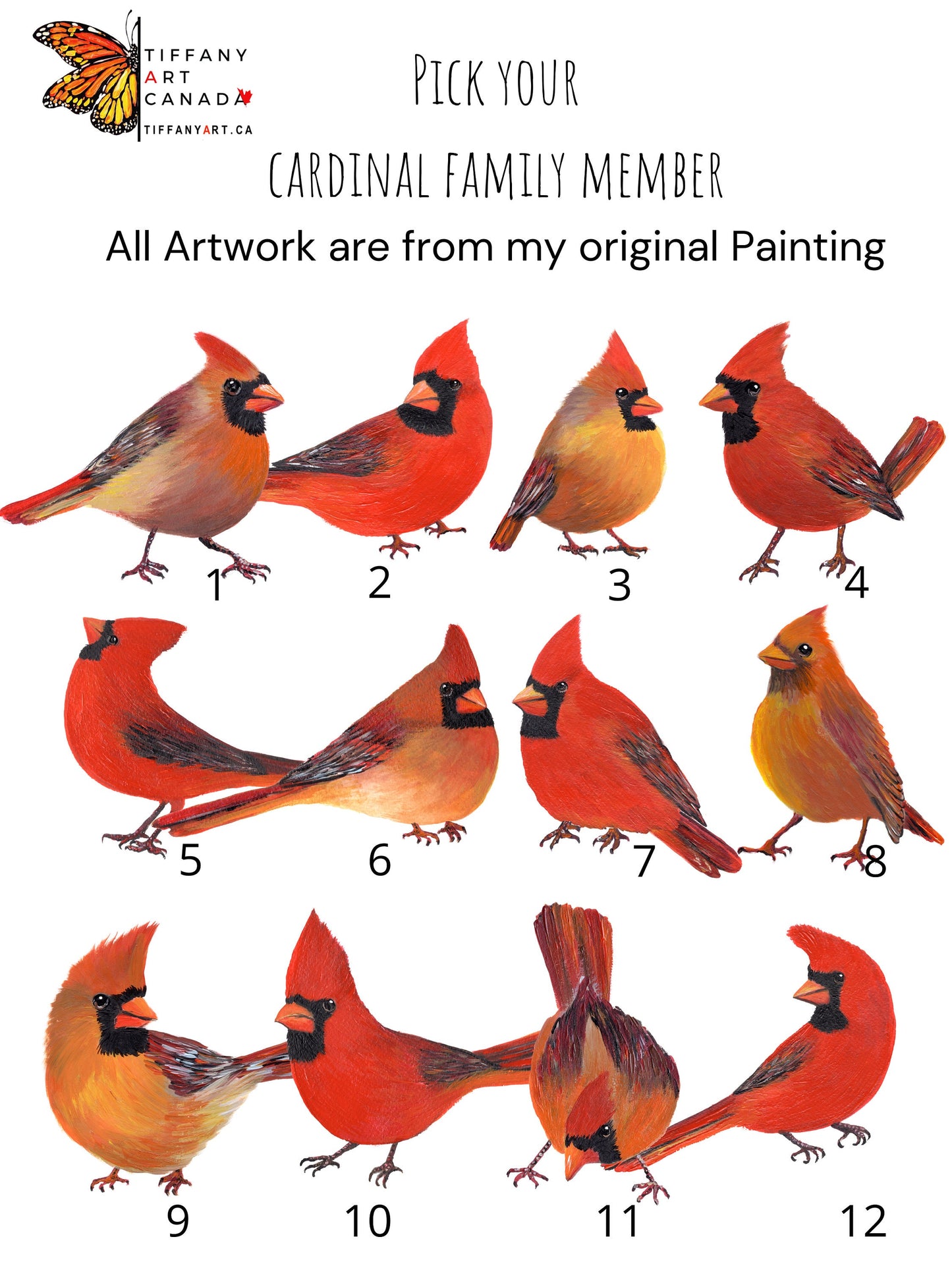 Cardinal Bird Family Names Print