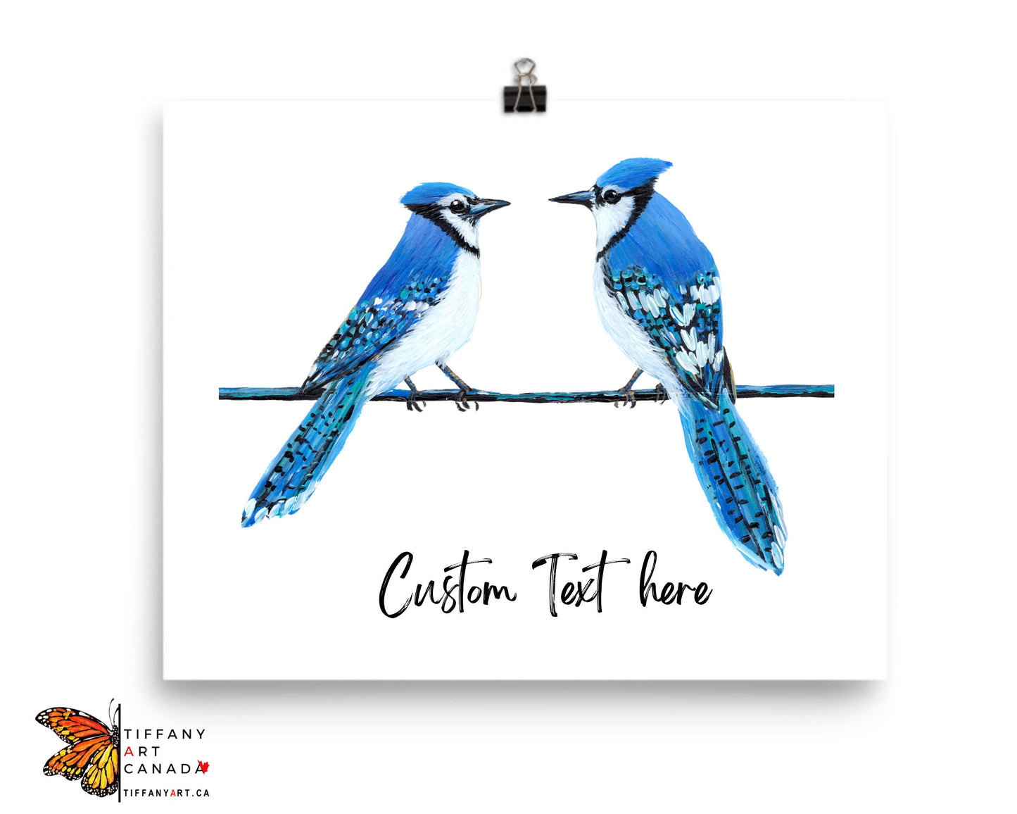 Blue Jay Couple Print